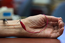 Regular electroacupuncture can lower high blood pressure by activating natural opioids.